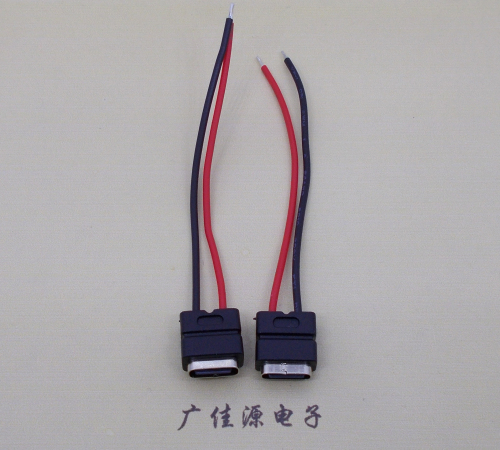 企石镇type c2p防水母座焊线式带线注塑成型带接线端子/不带接线端子充电连接器